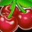 Stunning Hot Cherry